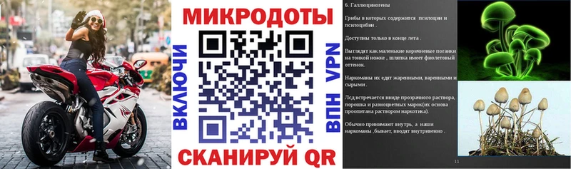Купить закладки  Первомайск  Псилоцибиновые грибы MAGIC MUSHROOMS 